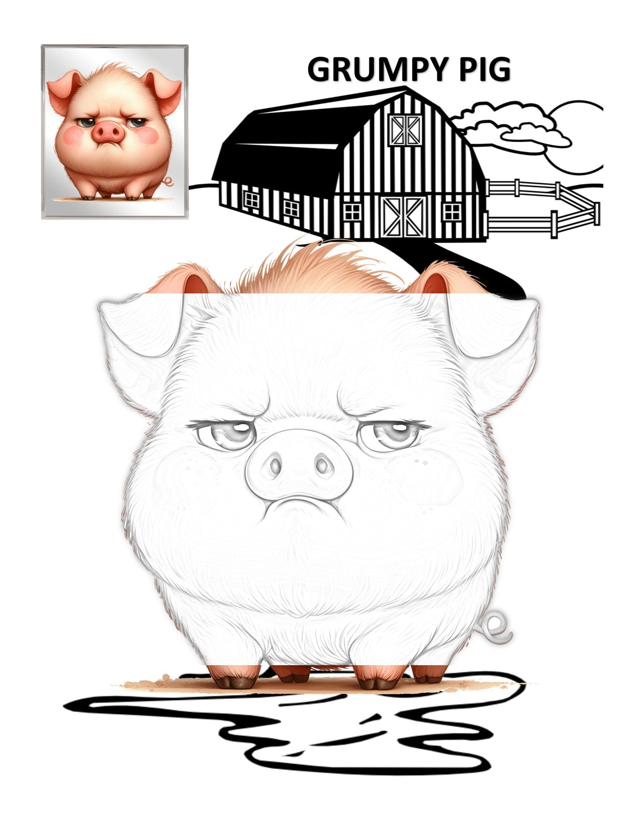 ANIMALS AND CREATURES CUTE AND SILLY Can YOU Mirror Me COLORING DRAWING AND ACTIVITY BOOK