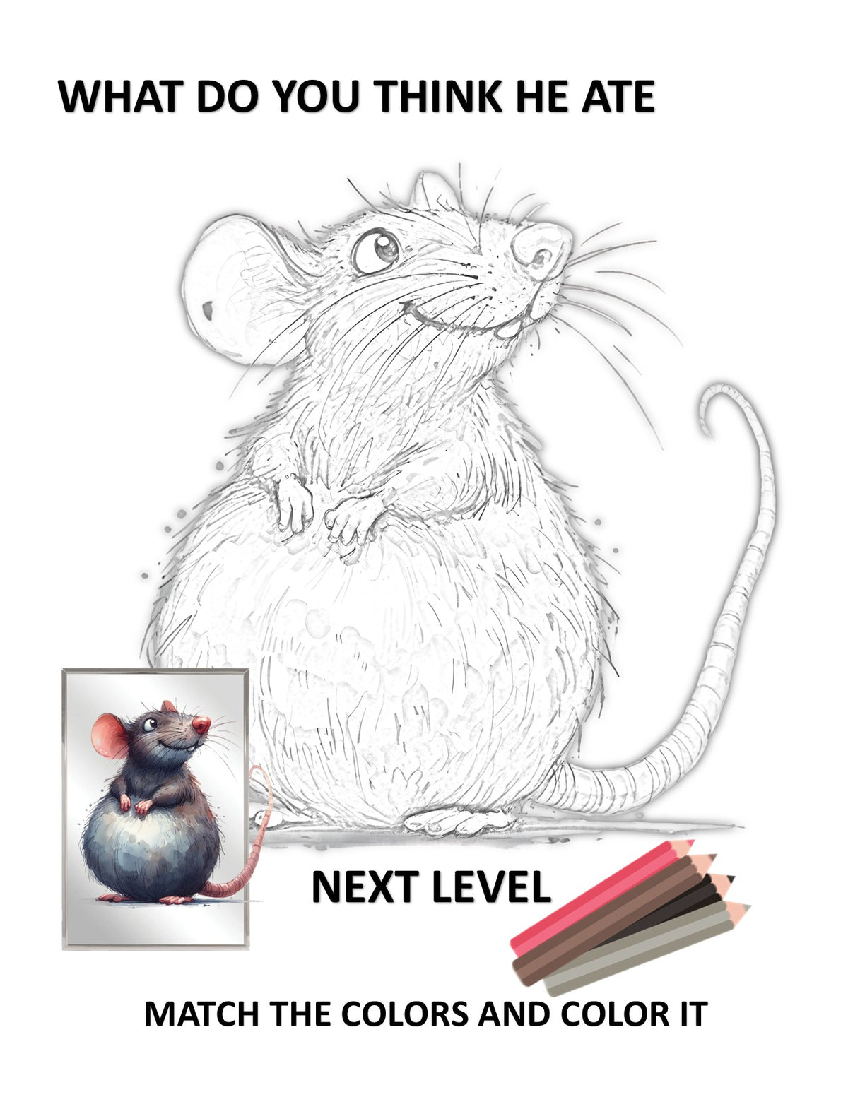 FUNNY MONKEYS MOUSES AND GEOMETRIC SHAPES Can YOU Mirror Me COLORING DRAWING AND ACTIVITY BOOK